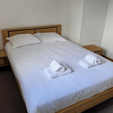 公寓 Flat With Balcony View Mont Blanc Parking