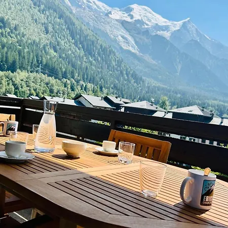公寓 Flat With Balcony View Mont Blanc Parking *