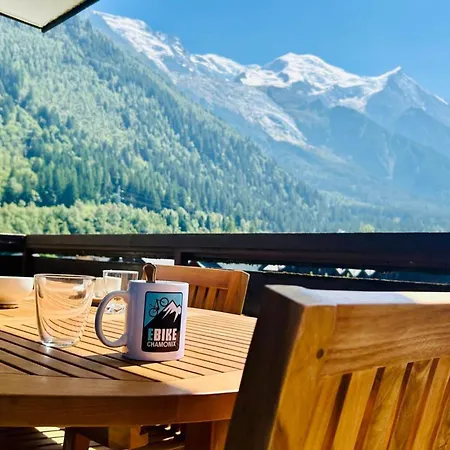 Flat With Balcony View Mont Blanc Parking 公寓